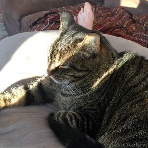 Meet your Posher, Dave